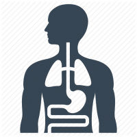 Development of a Complex Comorbidities Clinic