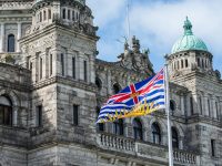 Bill 36?